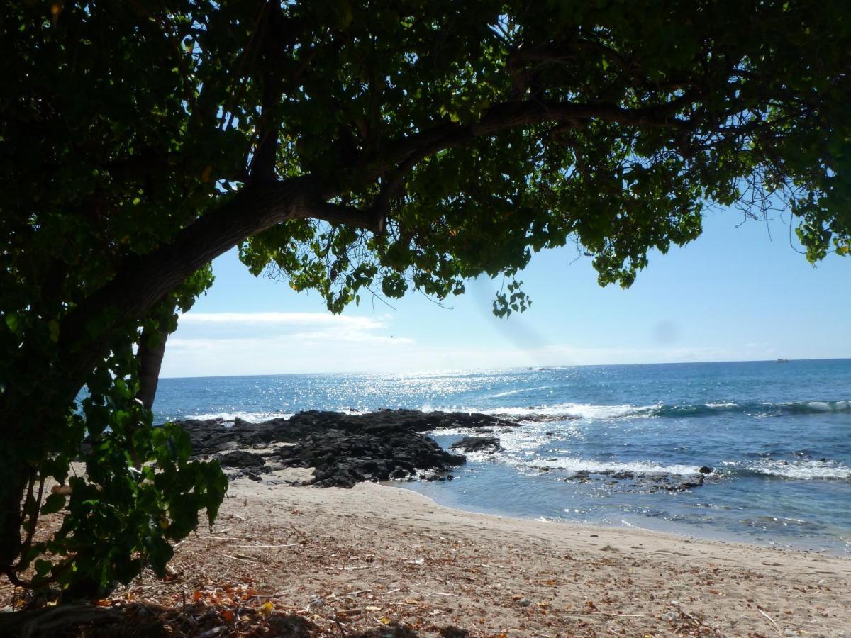 Downtown Hawaiian Paradise Condo With Hot Tub, Pool & Beach - Kona Islander Inn Kailua-Kona Extérieur photo